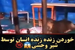 خورده شدن انسان توسط شیر +18