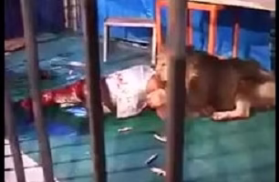 خورده شدن نیمی از بدن انسان توسط شیر(دل نداری نبین)