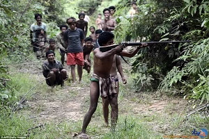 شکارهای وحشیانه و تماشایی حیوانات توسط درندگان بیرحم