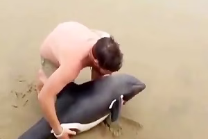 نجات بچه نهنگ قاتل