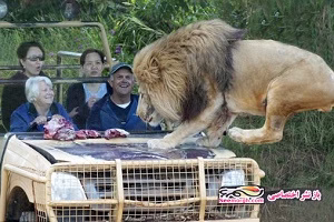 هولناک ترین حملات حیوانات وحشی درنده به انسان +18