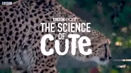 کلیپ دیدنی از حیات وحش