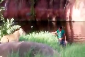 گیر افتادن مرد در محوطه نگهداری شیر