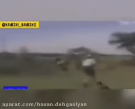 هولناکترین حمله حیوانات وحشی به انسان+۱۸