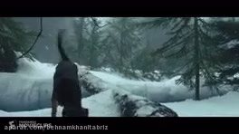 سرگرمی حیوانات