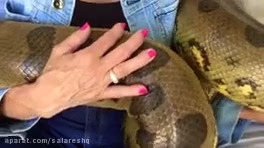 ترسناکترین مار یک تنی جهان