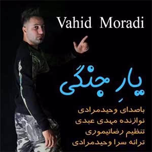 اهنگ یار جنگی من شلوار پلنگی من با صدای وحید مرادی