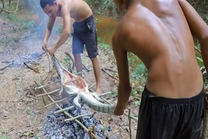 شکار تمساح و کباب کردن آن در جنگل