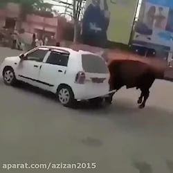 اینم از گاو وحشی دار ماشین به هم میزنه