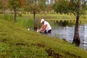 نجات دادن توله سگ از دهان تمساح توسط یک مرد شجاع