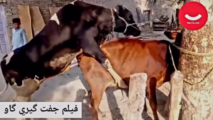 VideoCapture_20230421-164834