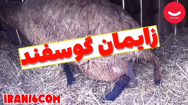 VideoCapture_20230508-011416