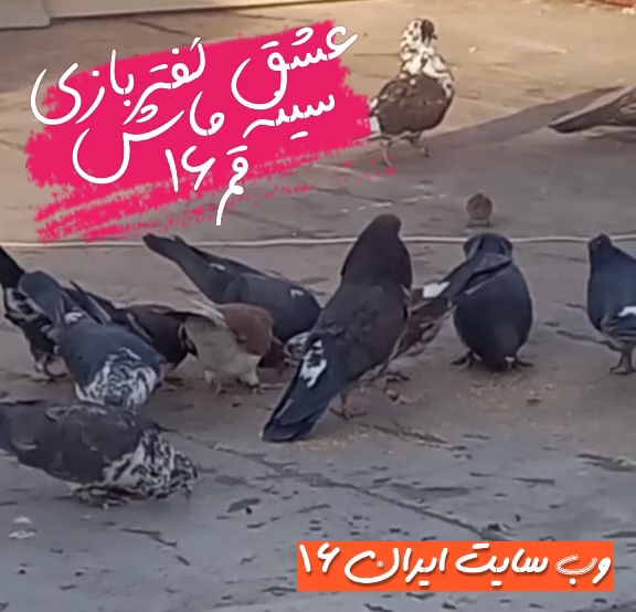 VideoCapture_20230508-013410