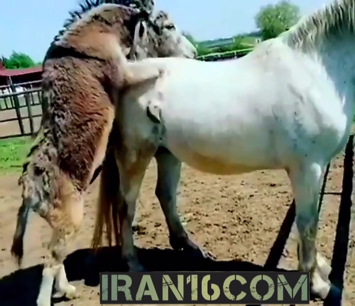 VideoCapture_20230508-091846