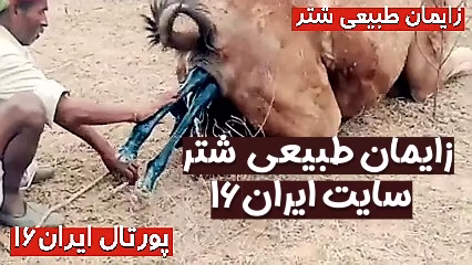 VideoCapture_20230521-182410