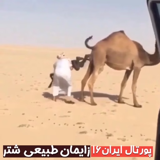 VideoCapture_20230521-191319