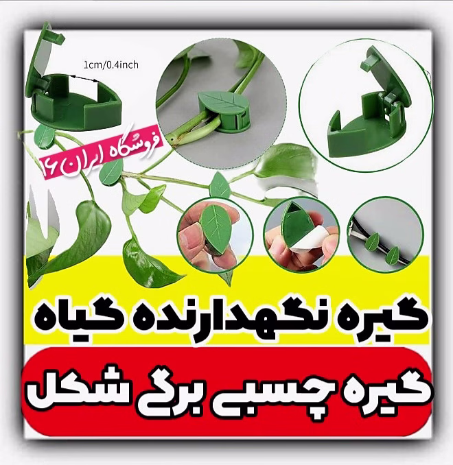 گیره نگهدارنده گل و گیاه کلیپس پتوس