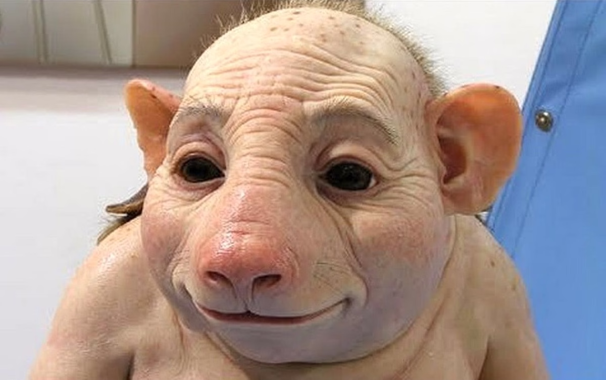 جهش ژنتیکی حیوانات