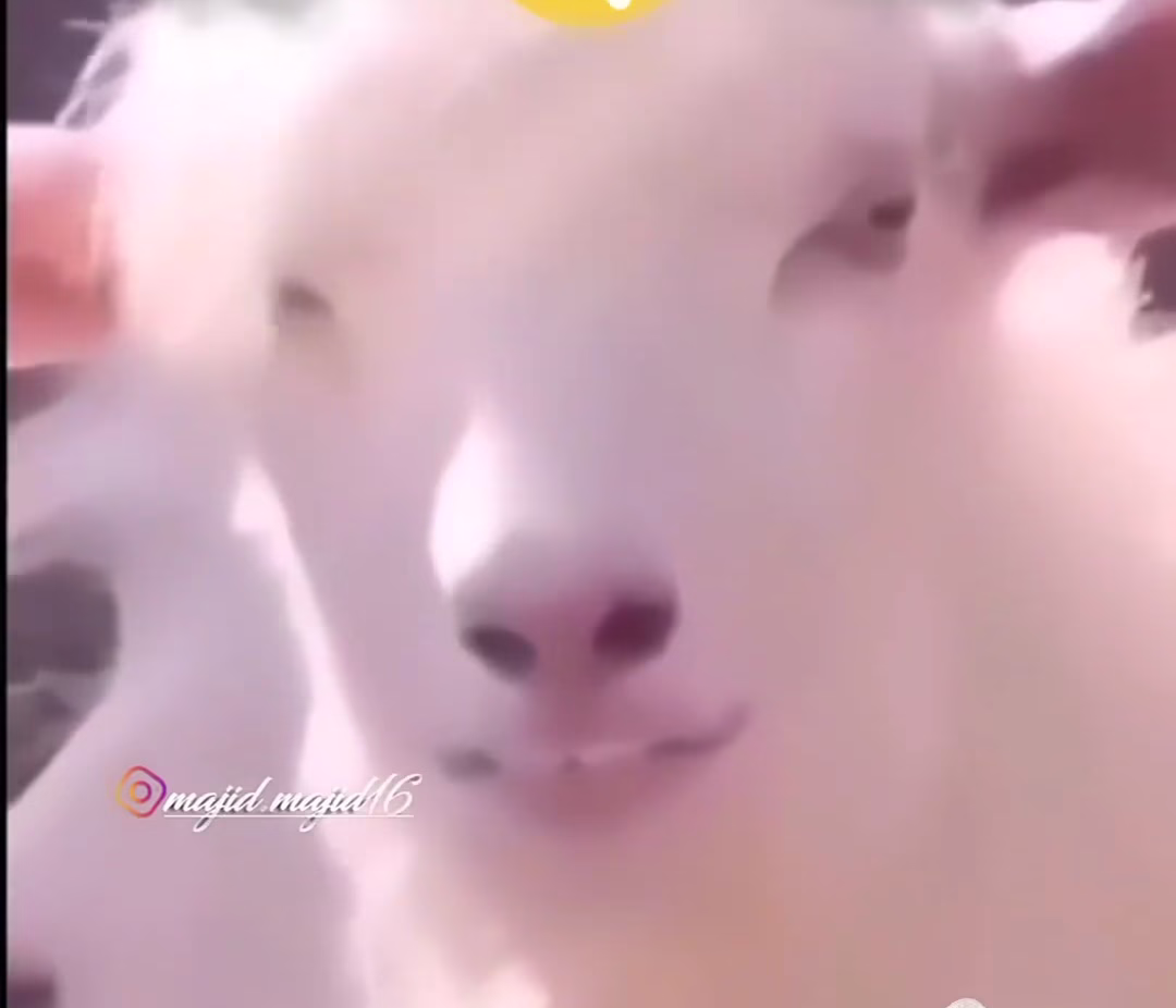 VideoCapture_20240201-004506