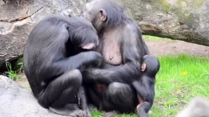 14647498-3241-b__5134