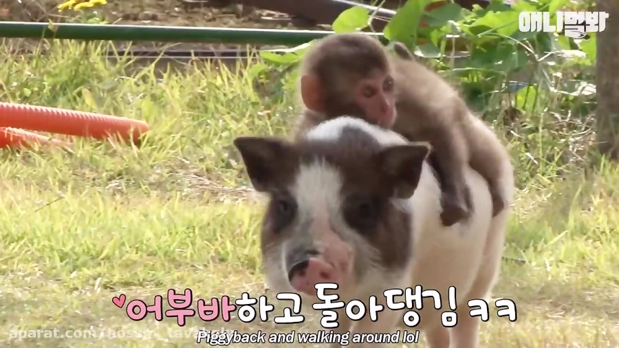 8680670-7773-b__1503