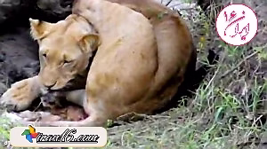 CREATOR: gd-jpeg v1.0 (using IJG JPEG v62), quality = 90?