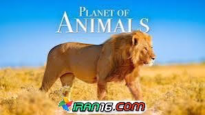 downloadیک ساعت ویدیوی با کیفیت از حیوانات وحشی در