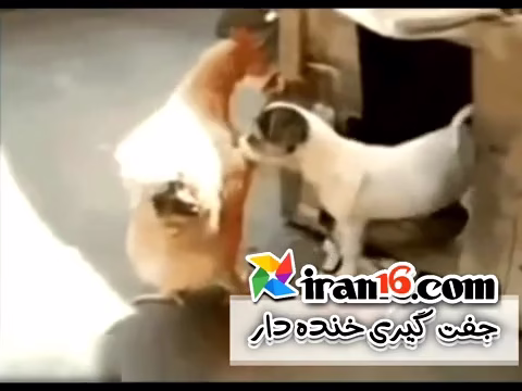 VideoCapture_20250106-033842