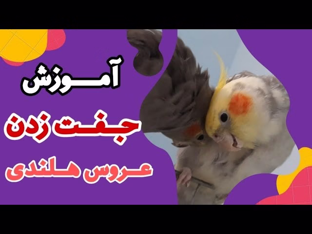 Video thumbnail for youtube video cqh_zud_mvm