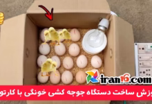 آموزش ساخت دستگاه جوجه کشی خونگی با کارتون