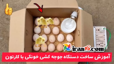 آموزش ساخت دستگاه جوجه کشی خونگی با کارتون