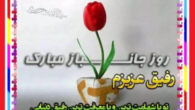 روز جانباز . استوری روز جانباز . ولادت حضرت عباس .