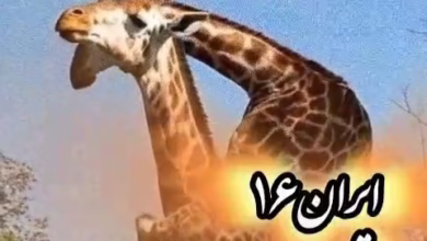 VideoCapture ۲۰۲۵۰۳۰۷ ۱۹۲۴۵۳