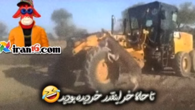وقتی صحبت از خر میشه این خره رو میگن ببینید چقدر خره 4 خر حمار monkey