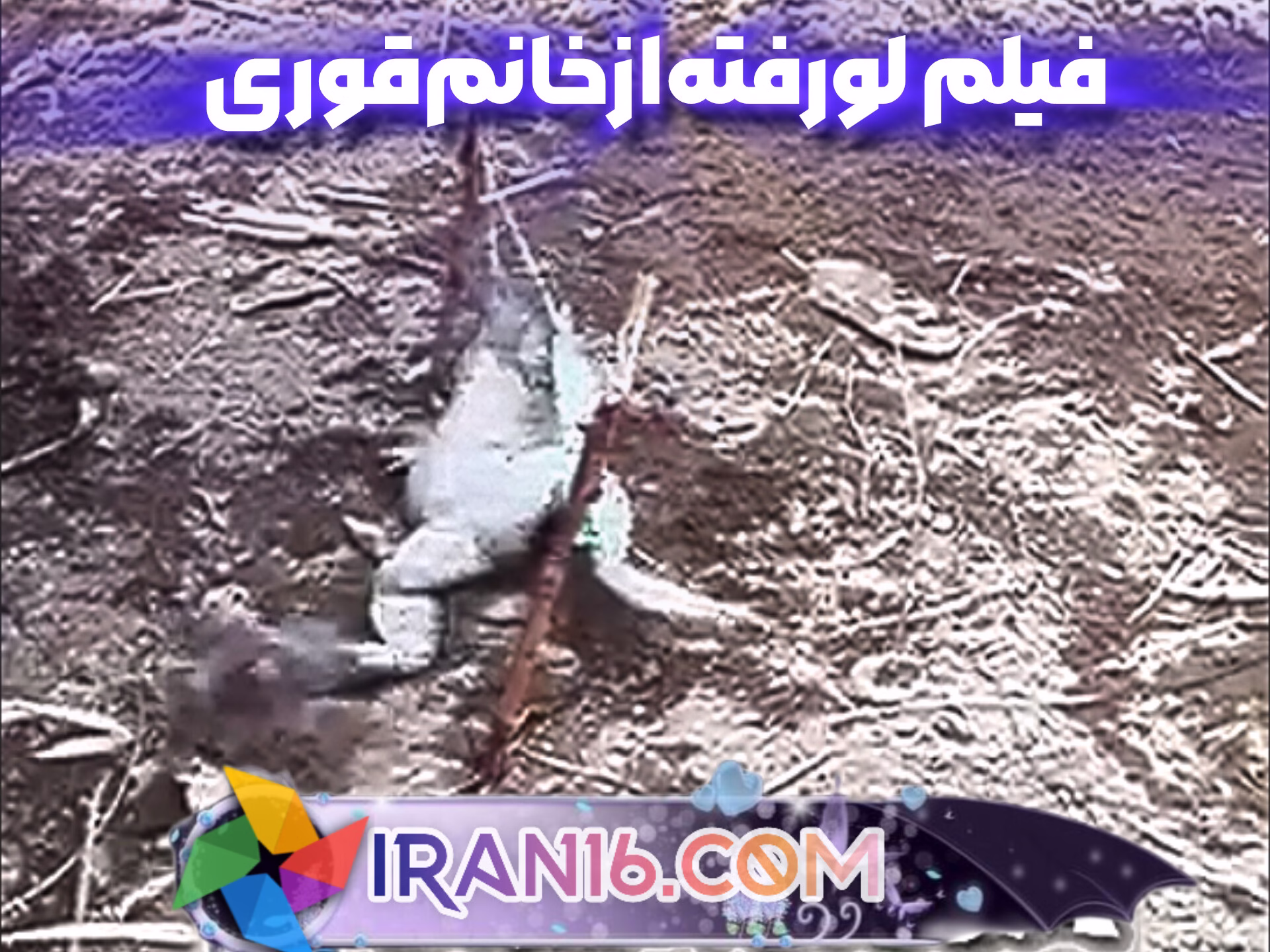 فیلم خانم قورباغه