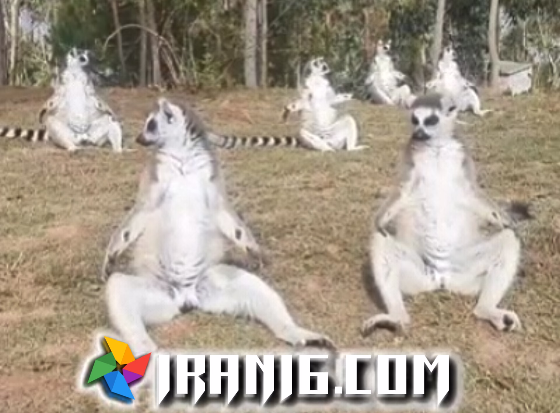 برق قطعی آب