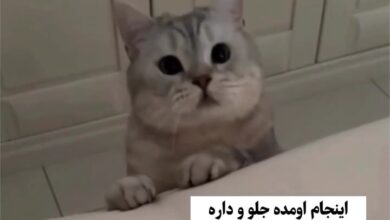 VideoCapture ۲۰۲۵۰۸۰۹ ۲۲۳۸۴۹