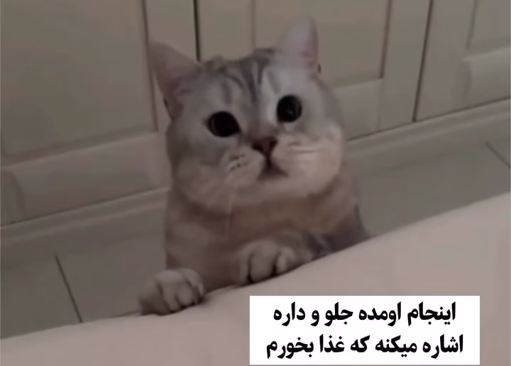 VideoCapture_۲۰۲۵۰۸۰۹-۲۲۳۸۴۹