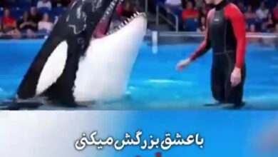 عشق خیانت