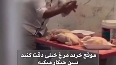 کلاهبرداری و دزدی با تزریق آب به مرغ با سرنگ برای فروش 21 تزریق آب به مرغ