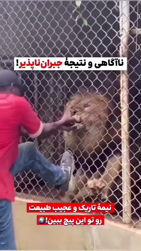 شیر انگشت مرد رو کند