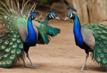 mating behaviors 1024x585