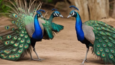 Sexuality and Mating Strategies of Savannah Animals 20 mating behaviors 1024x585
