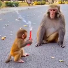 videocapture ۲۰۲۵۱۱۲۴ ۲۳۲۲۰۱