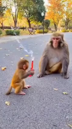 videocapture ۲۰۲۵۱۱۲۴ ۲۳۲۲۰۱