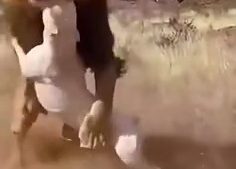 جنگ شیر و سگ