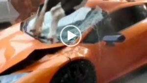 جنگ گاو و ماشین