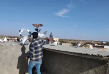غریب گیری کفتر برای کبوتر دوستان 2 66733725 1257 l 4542