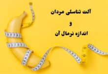 اندازه طبیعی آلت تناسلی مردان و اهمیت در رابطه جنسی + عکس اندازه ایده آل 2 GettyImages 871553024 1bf9d9fd842f49e6a6cf172f8d975ae811