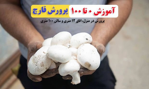 آموزش صفر تا صد پرورش قارچ در منزل اتاق 12 متری سالن